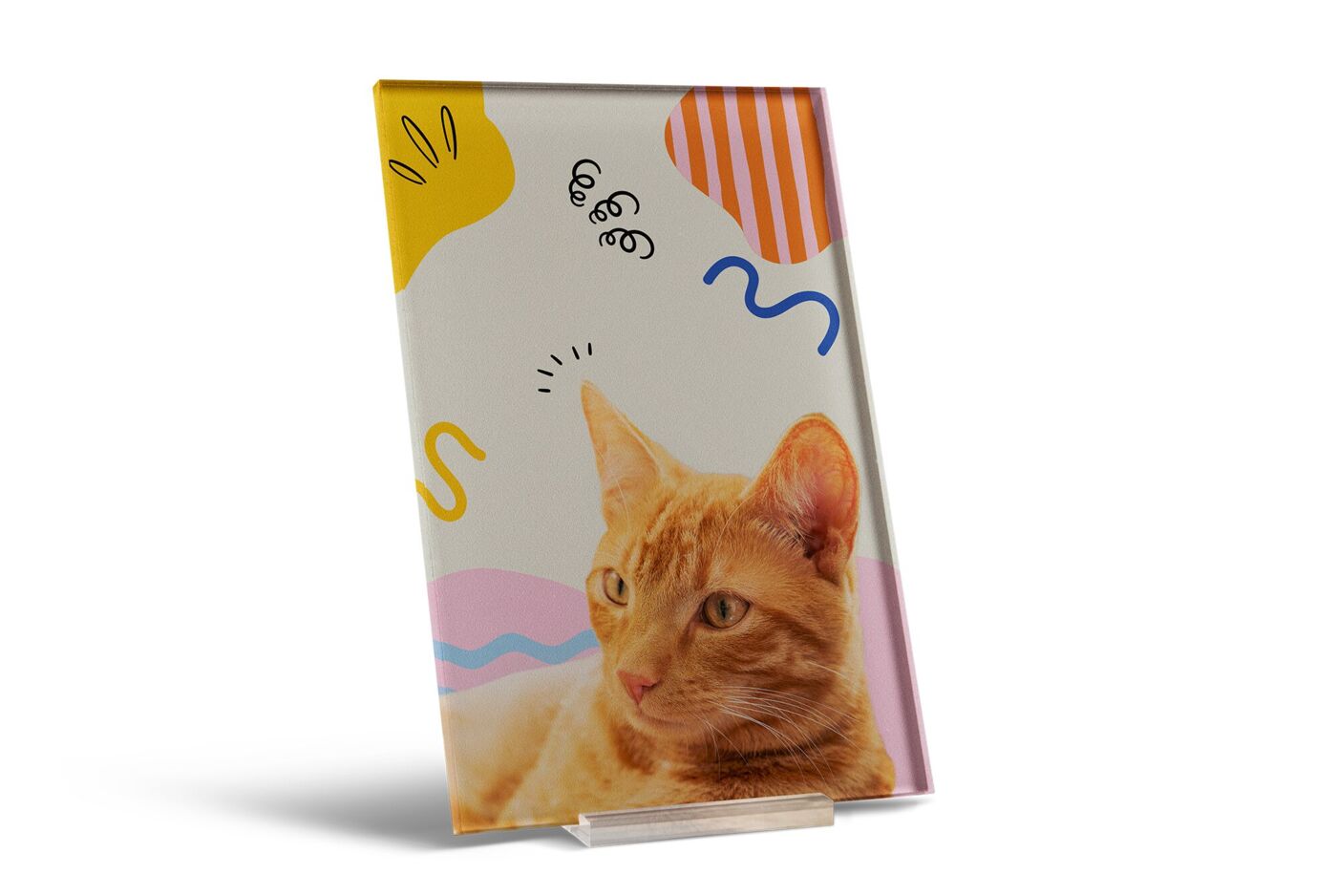 CEWE Wandbild aus Acrylglas mit Foto einer orangefarbenen Katze vor buntem, grafischem Hintergrund